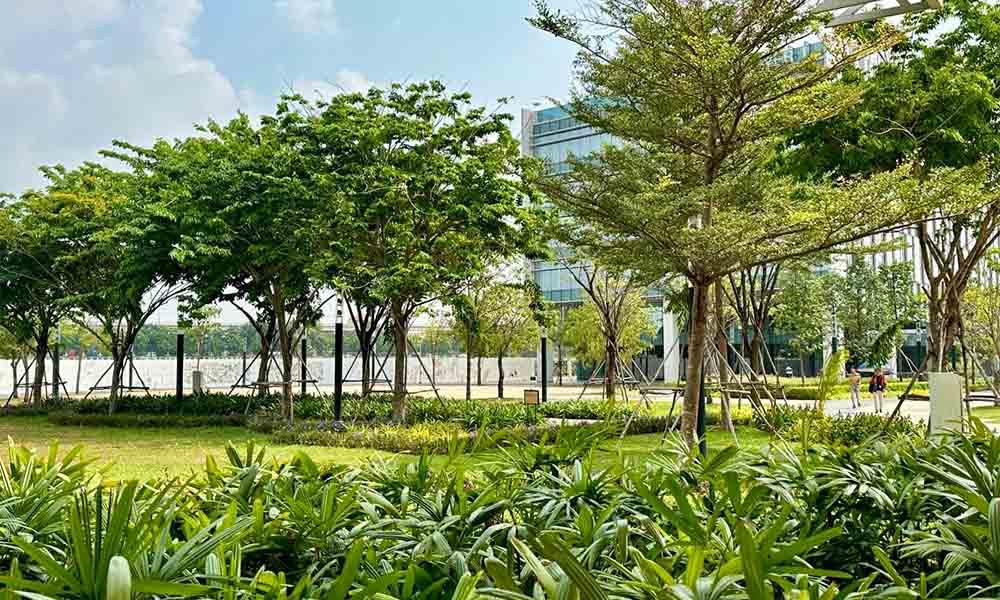 OneHub SaiGon được phủ xanh bởi nhiều cây cối
