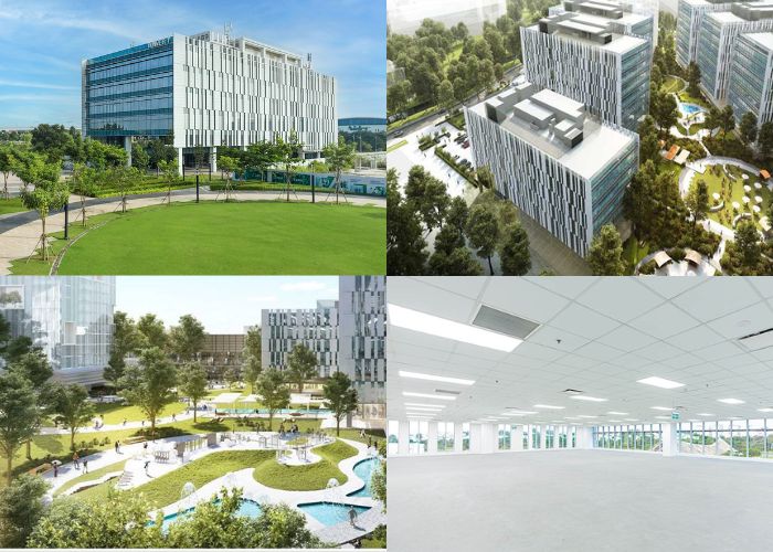 Hệ sinh thái đa dạng với khu campus xanh rộng rãi, thoáng mát