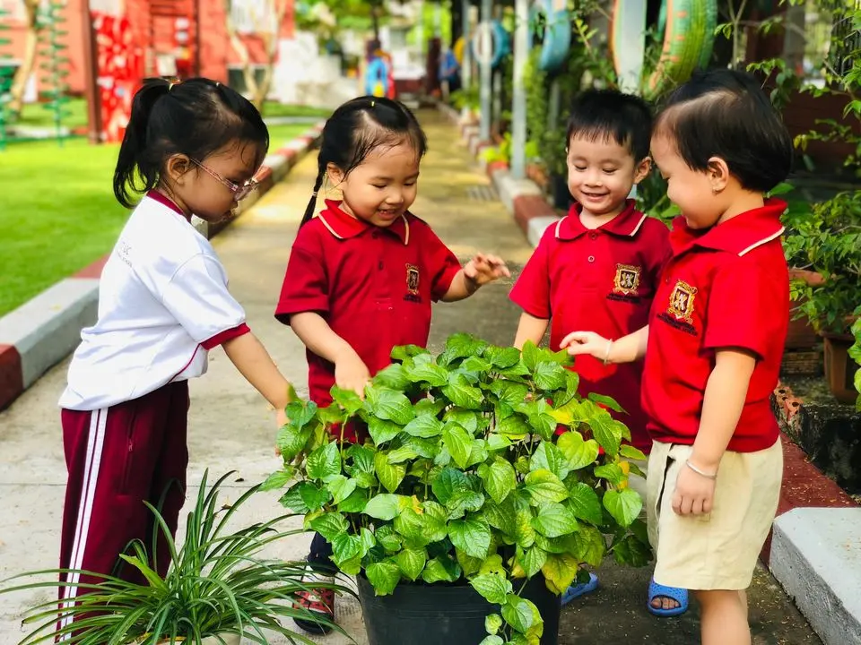 Hãy tham khảo qua đánh giá của các phụ huynh khác