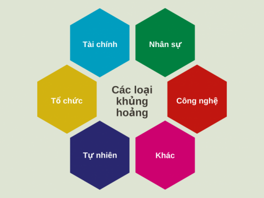 Các loại khủng hoảng doanh nghiệp