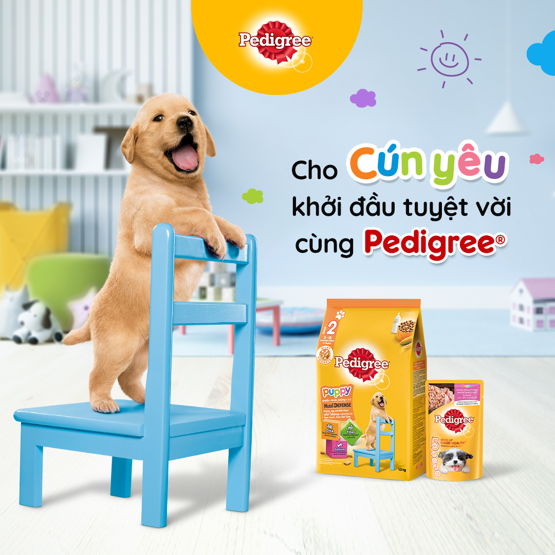 Quảng cáo sáng tạo cùng hình ảnh thú cưng dễ thương của Pedigree