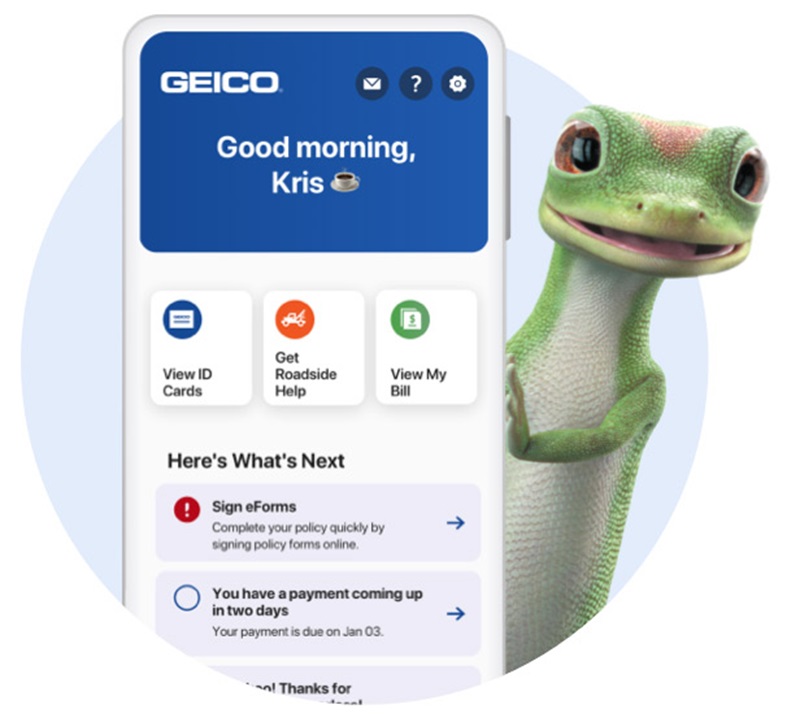 Hình 7: GEICO (Nguồn: Internet)