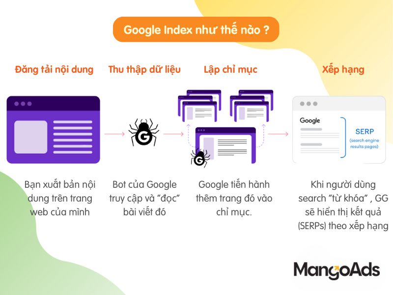 Hình 3: Quá trình Google Index. (Nguồn: MangoAds)