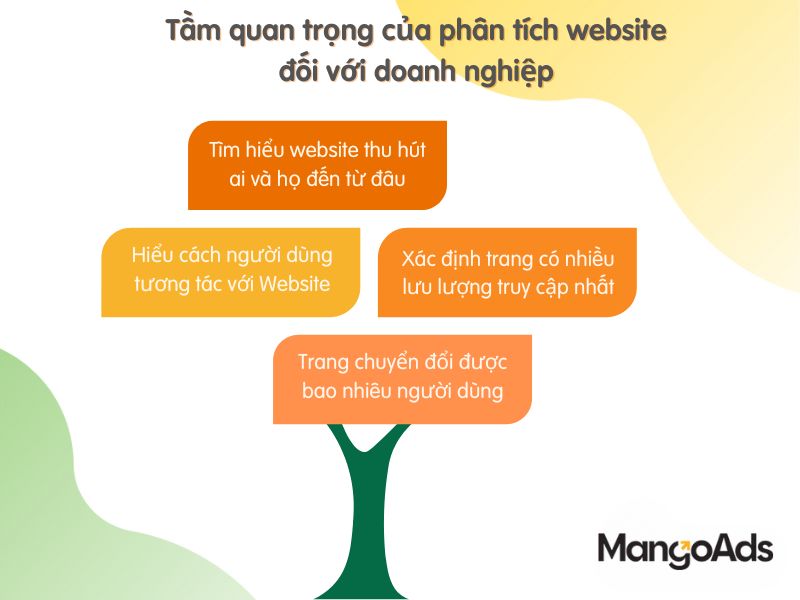 Hình 2: Tầm quan trọng của phân tích website đối với doanh nghiệp (Nguồn: Internet)