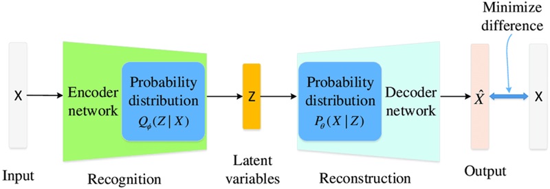 Hình 2: Variational Autoencoders (VAE) (Nguồn: researchgate.net)