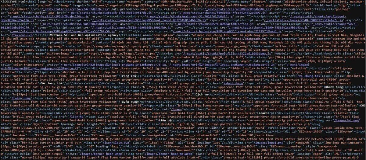 Hình 2: Minh họa mã nguồn của website mangoads.vn