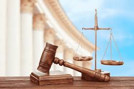 Không gian văn phòng chuyển đổi thành co-working với layout linh hoạt