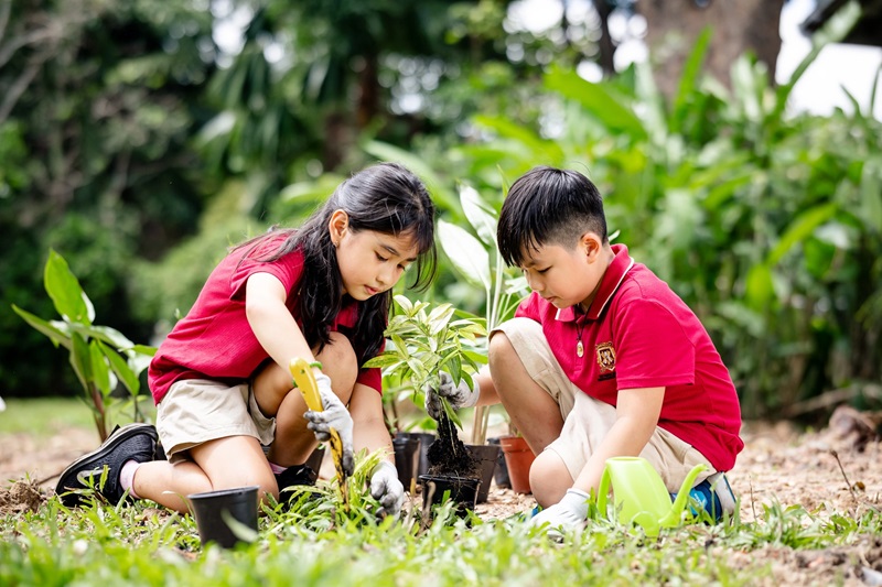 Cung cấp kiến thức giới tính cho trẻ cần được thực hiện một cách bài bản và phù hợp với từng độ tuổi