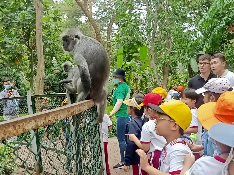 Chương trình ngoại khóa của học sinh VAS